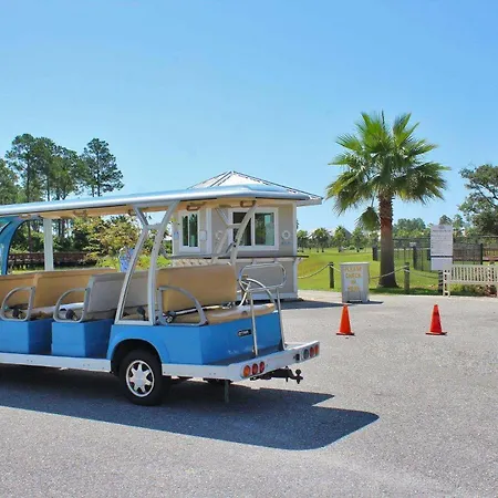 Wharf 902 By Youngs Suncoast-2